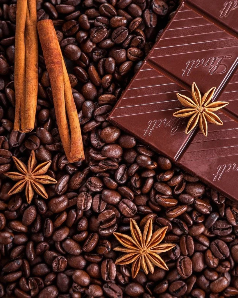 Circuit Histoire Chocolat Visite à Uxmal et au musée du chocolatHistoire maya et saveur ancestrale.