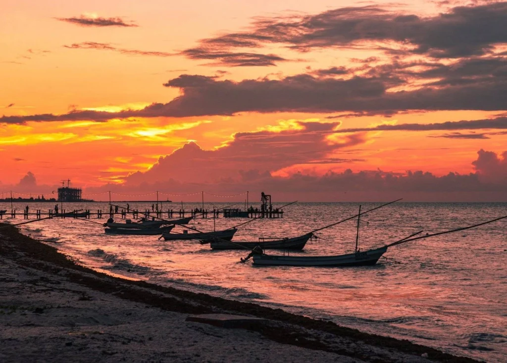 Coastal Nature Escape Visit to El Corchito and afternoon in Progreso