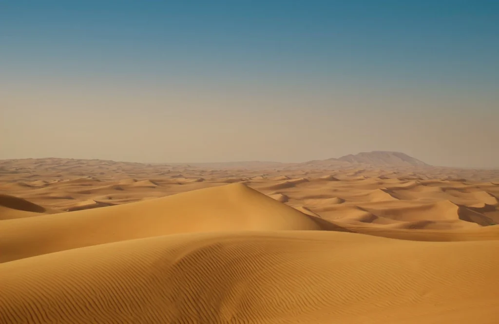 Paisaje árido con cactus y dunas en el desierto mexicano.