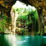 Inmersión en Yucatán Cenote natural en Yucatán con luz filtrada y vegetación, un paisaje emblemático del programa de inmersión