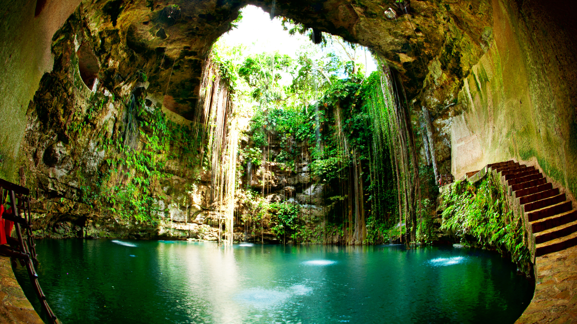 Cenote natural en Yucatán con luz filtrada y vegetación, un paisaje emblemático del programa de inmersión