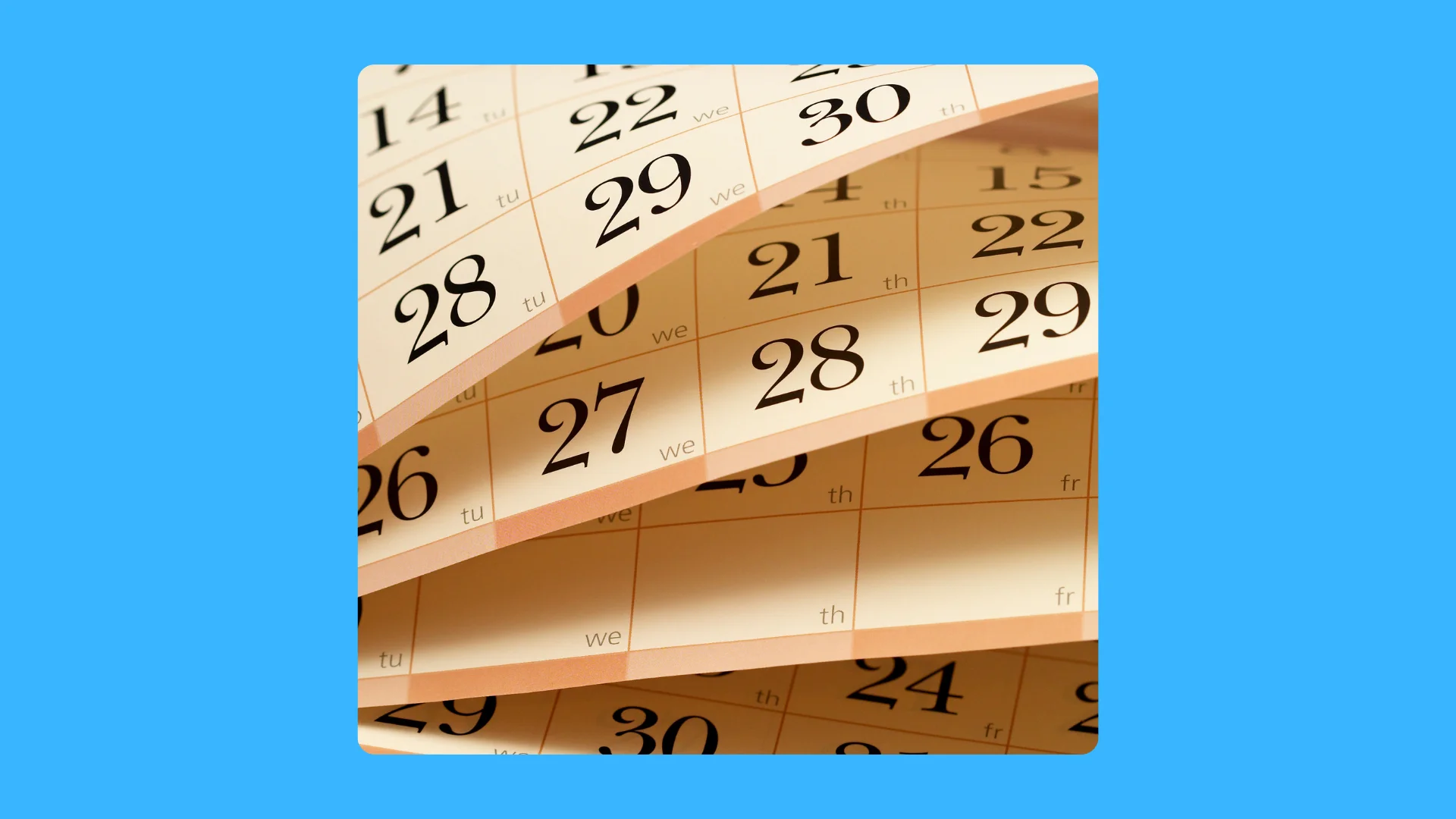Calendar illustrating flexible dates and program lengths for a Spanish language immersion in Mexico.