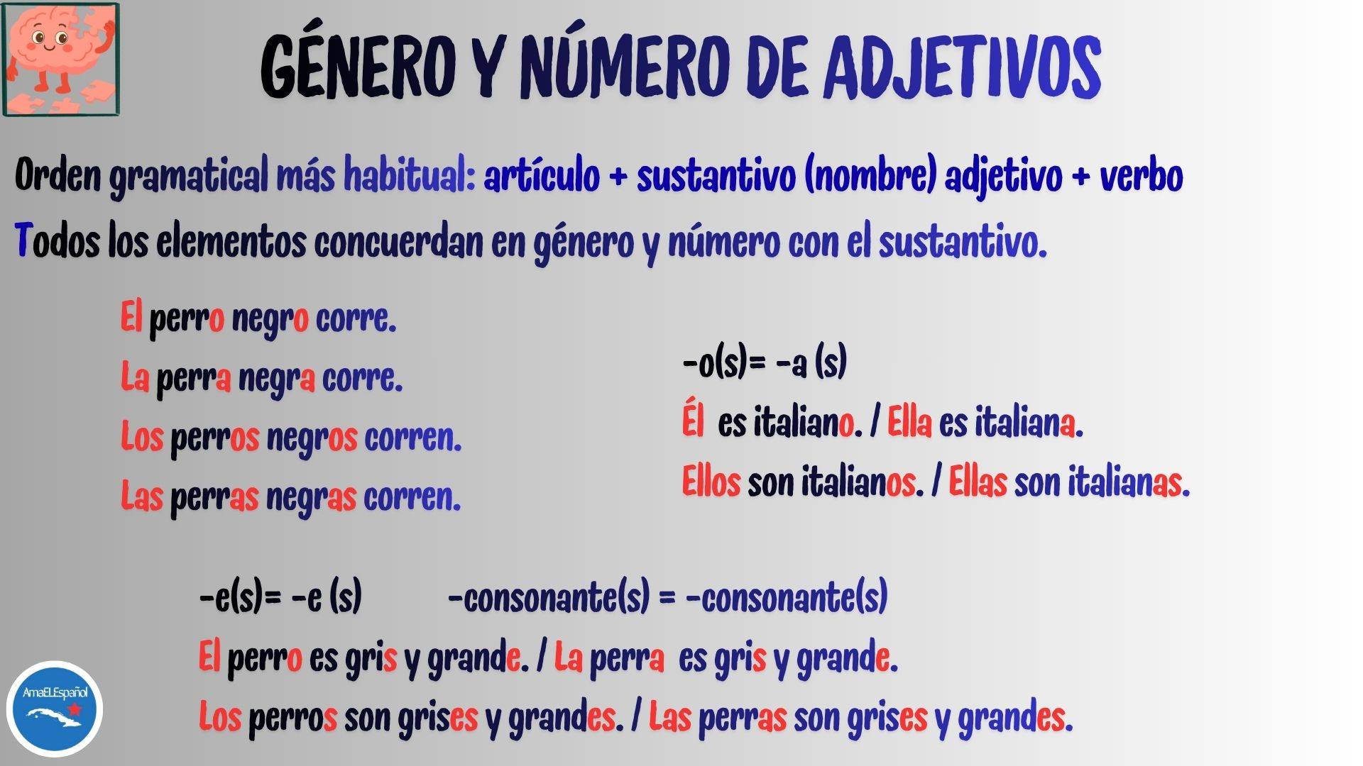 Ficha de español A1 sobre género y número de los adjetivos.