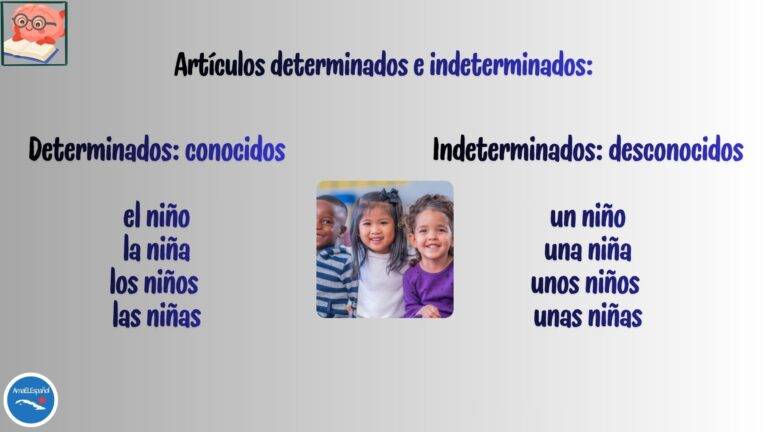 Ficha de estudio con los artículos determinados e indeterminados en español para estudiantes de nivel A1.