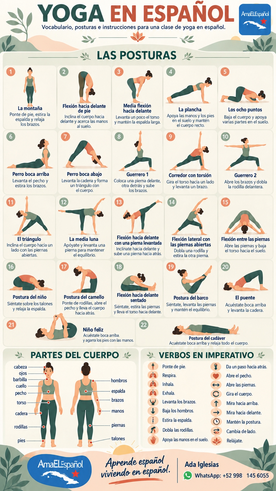 Infografía de yoga en español con posturas, partes del cuerpo y verbos en imperativo para estudiantes de español.