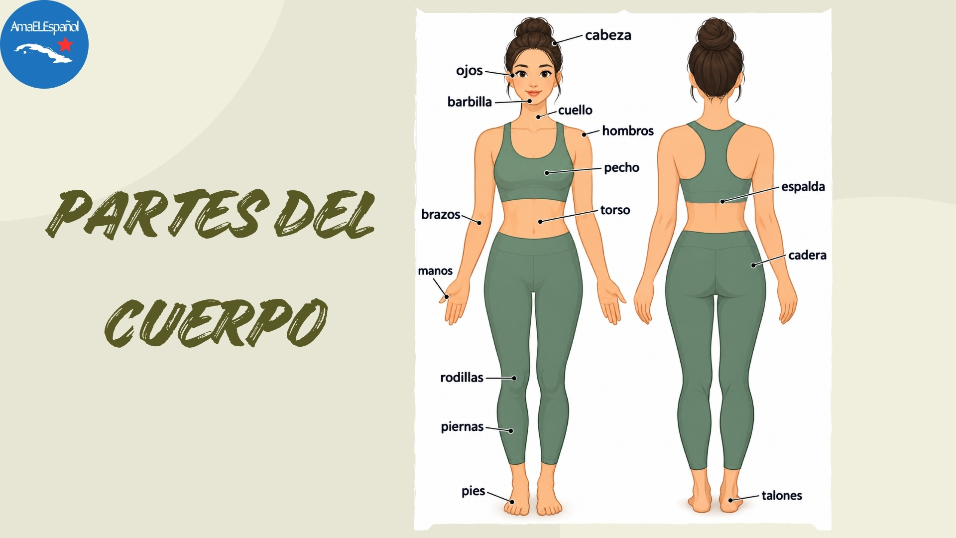 Vocabulario de las partes del cuerpo en español para una clase de yoga