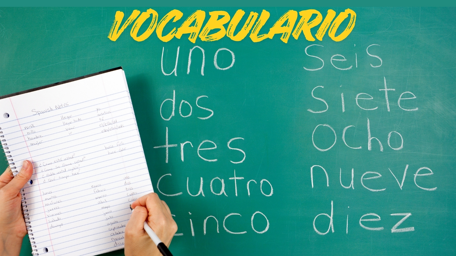 Infografías de vocabulario para estudiantes de español